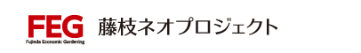 藤枝ネオプロジェクト