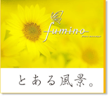 fumino_image